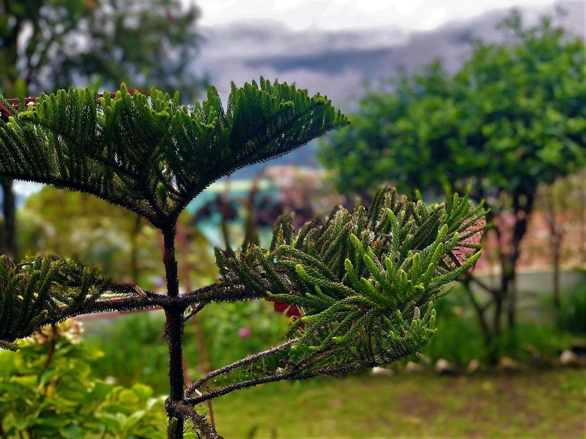مبيت وإفطار Solan Retreat المظهر الخارجي الصورة